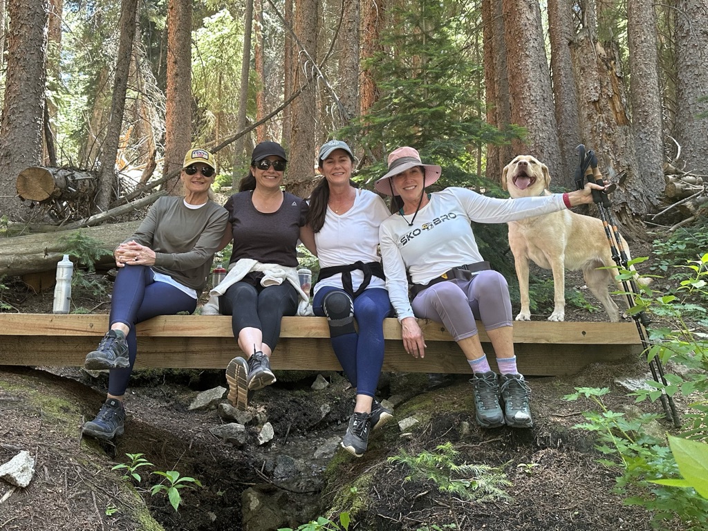 Evidence-Based Herbal Supplements for Menopausal Symptoms